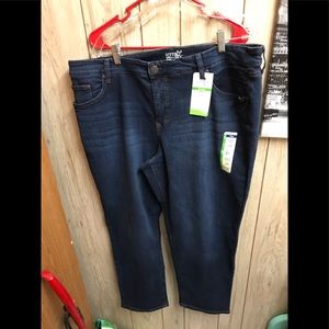 NWT Terra&Sky Straight leg 20 W petite blue jeans